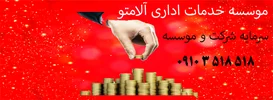 سرمایه شرکت و موسسه
